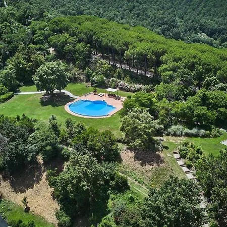 Belvedere