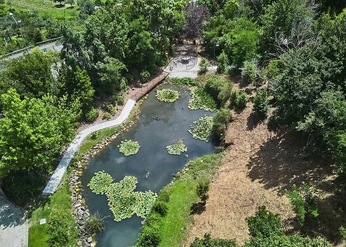 Belvedere Castel Viscardo